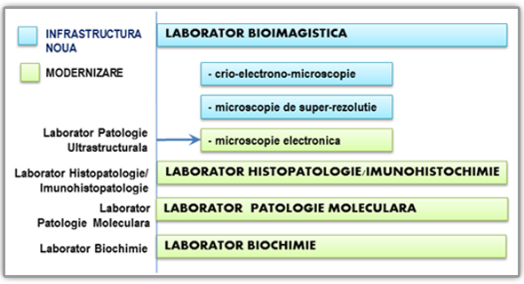 Schema infrastructura noua